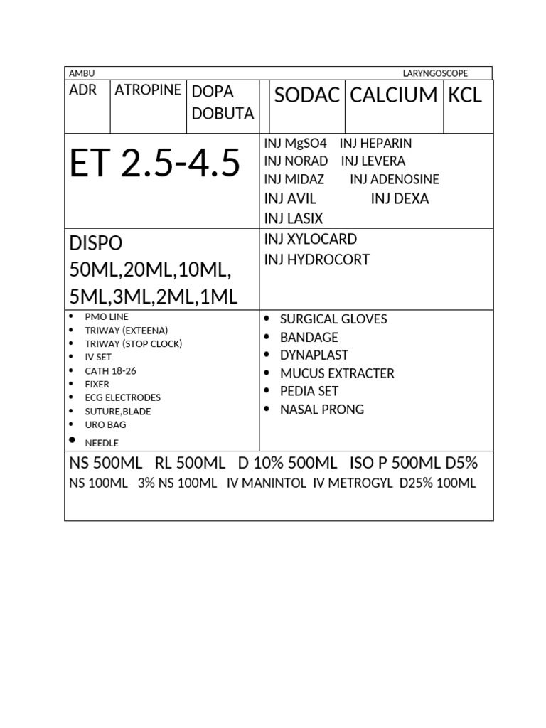 Medical Supplies and Medications List | PDF