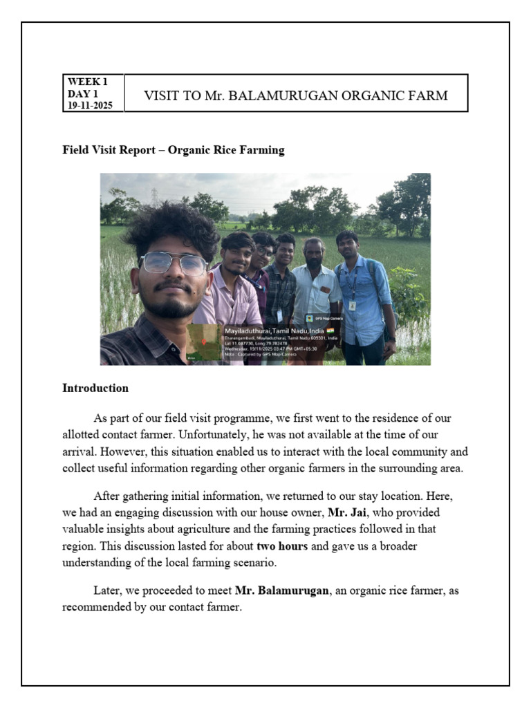 Organic Rice Farming Insights Report | PDF | Agriculture | Manure