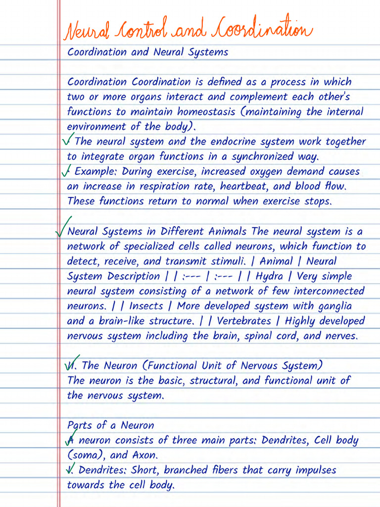 Neural Control and Coordination | PDF
