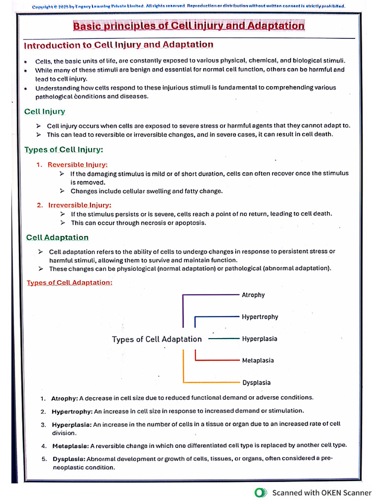 Pathophysiology Unit 1 | PDF