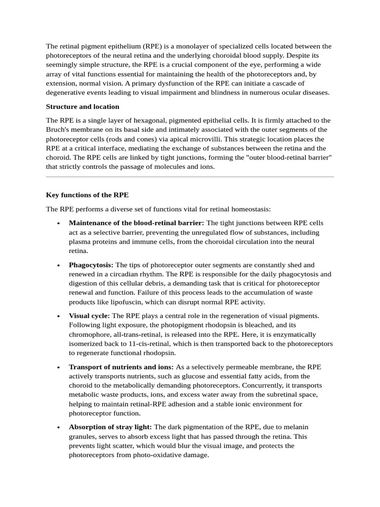 Retinal Pigment Epithelium Functions and Pathologies | PDF | Retina ...