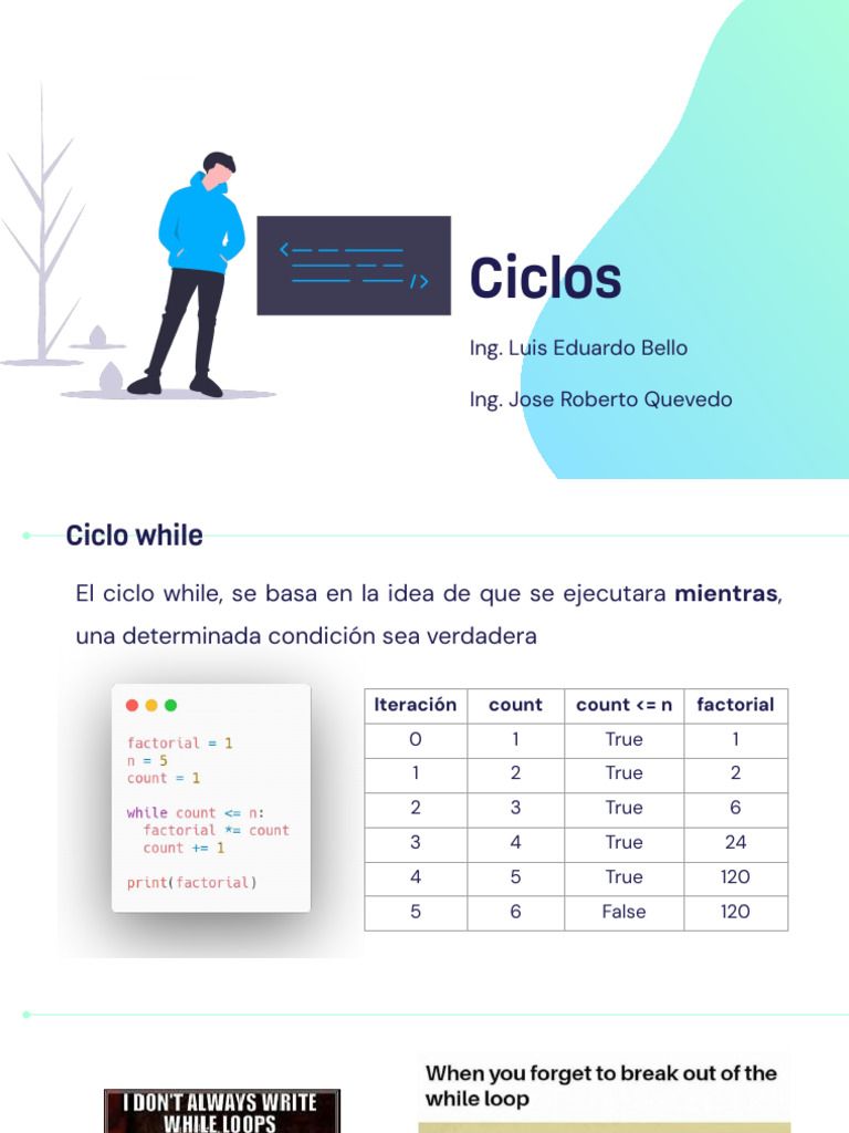 Algoritmos y Ciclos en Programación | PDF
