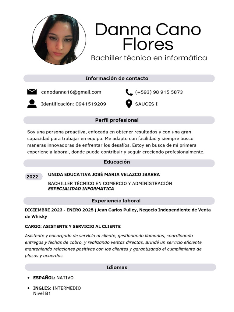 Bachiller en Informática: Perfil Profesional | PDF