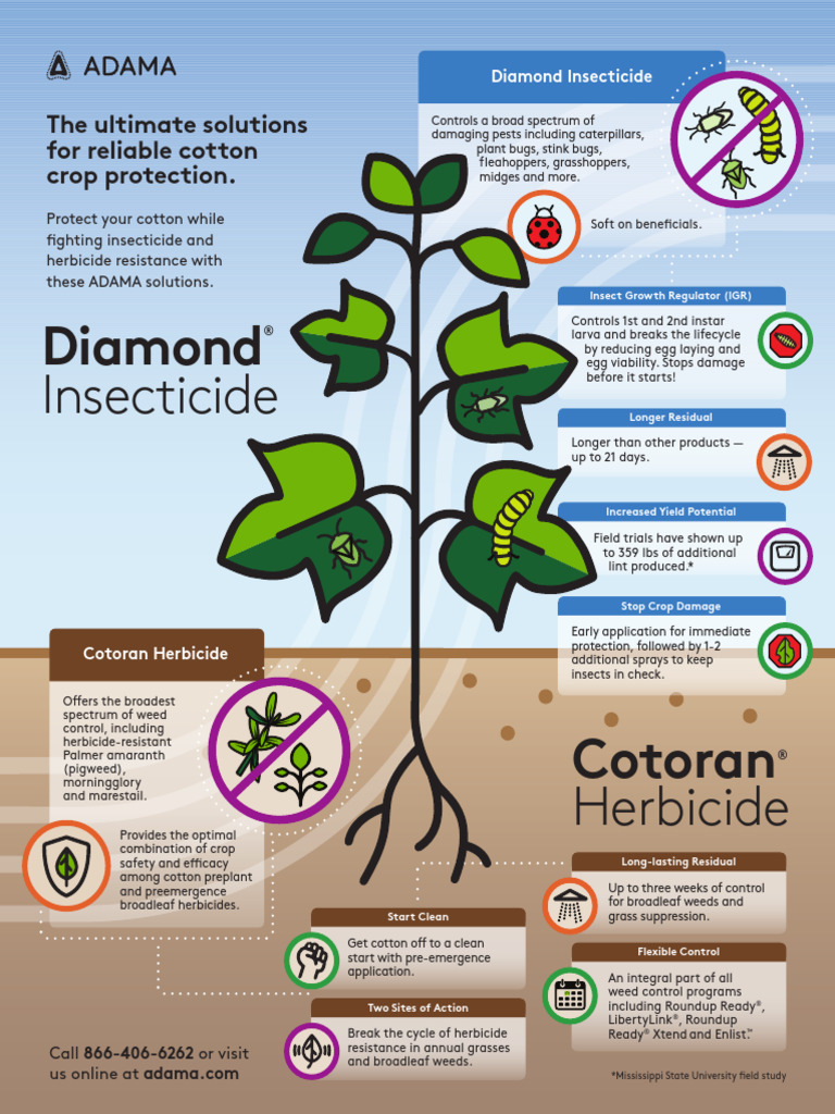 Cotton Crop Protection Solutions | PDF | Herbicide | Agriculture