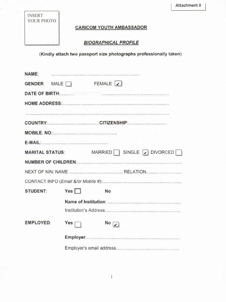 CYA Application PDF Fillable Form 1 | PDF