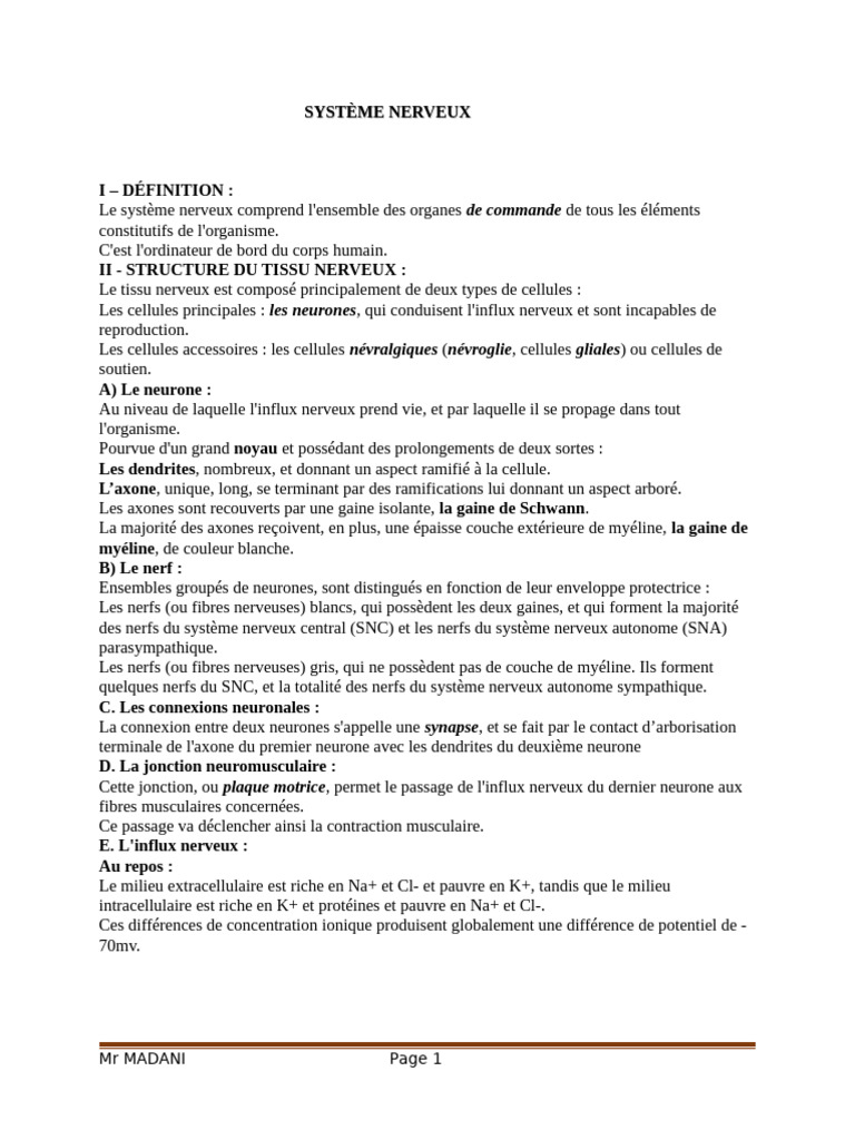Structure et Fonction du Système Nerveux | PDF | Système nerveux | Neurone