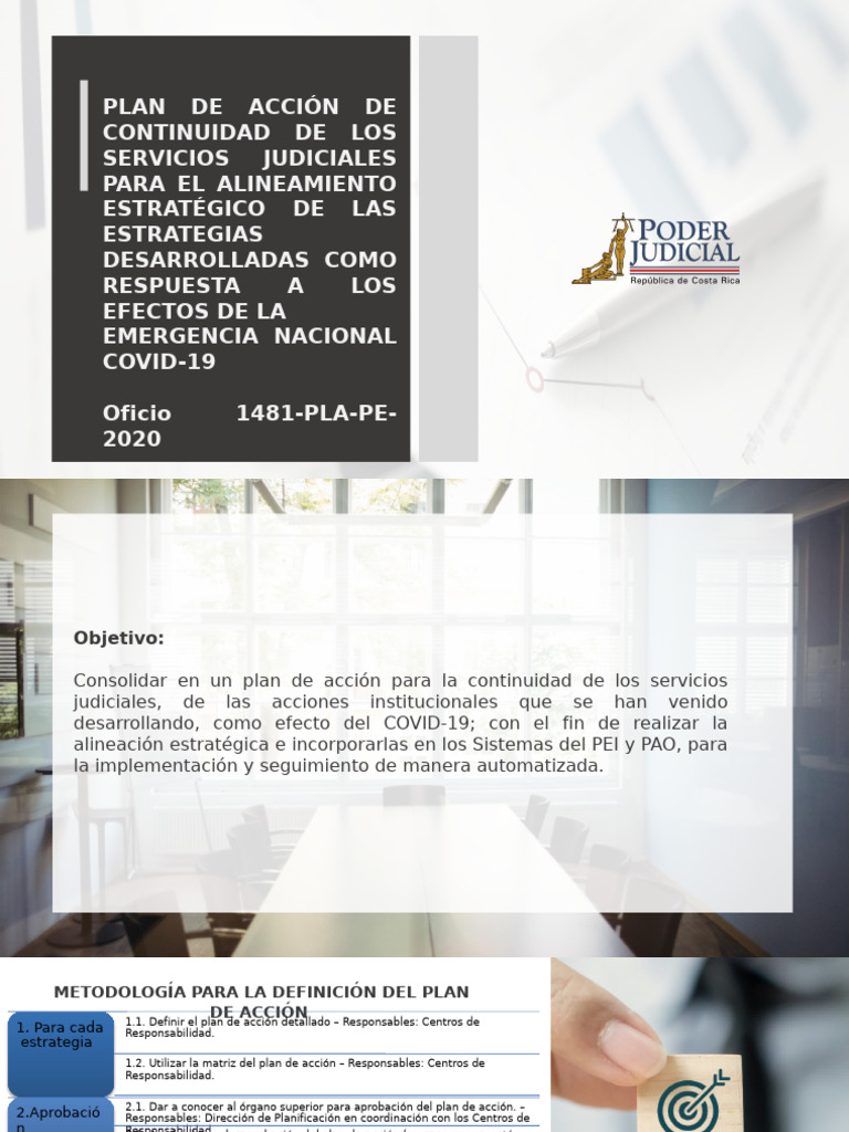Plan de Accin para La Sostenibilidad de Las Acciones en Respuesta Al ...