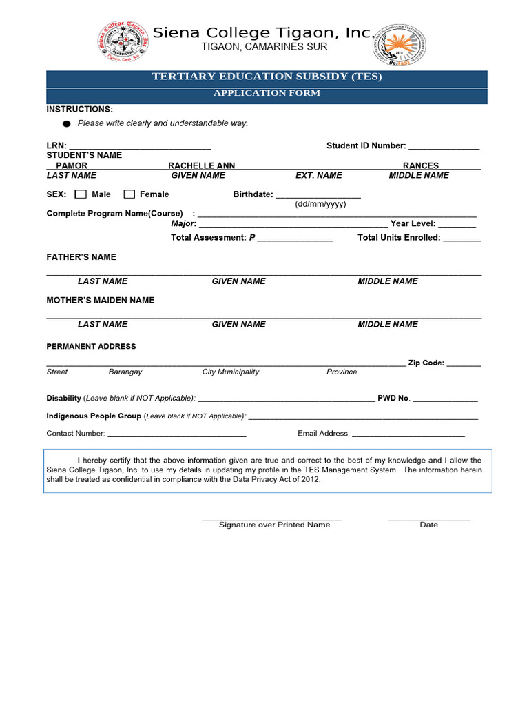 TES Application Form | PDF | Privacy | Computing