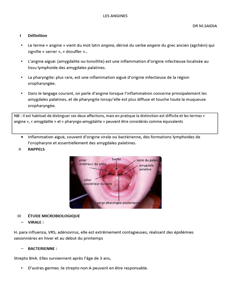 Comprendre l'Angine : Causes et Traitements | PDF | Immunologie ...