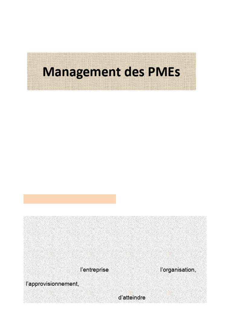 Management des PME : Stratégies et Outils | PDF | Commercialisation ...