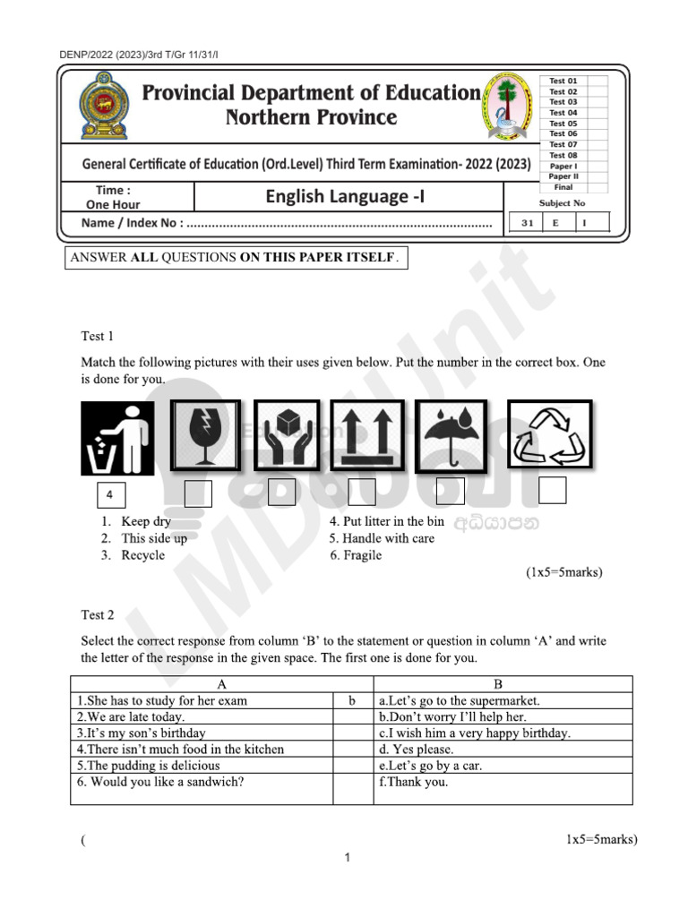 Gr 11 English Language Exam Paper 2023 | PDF