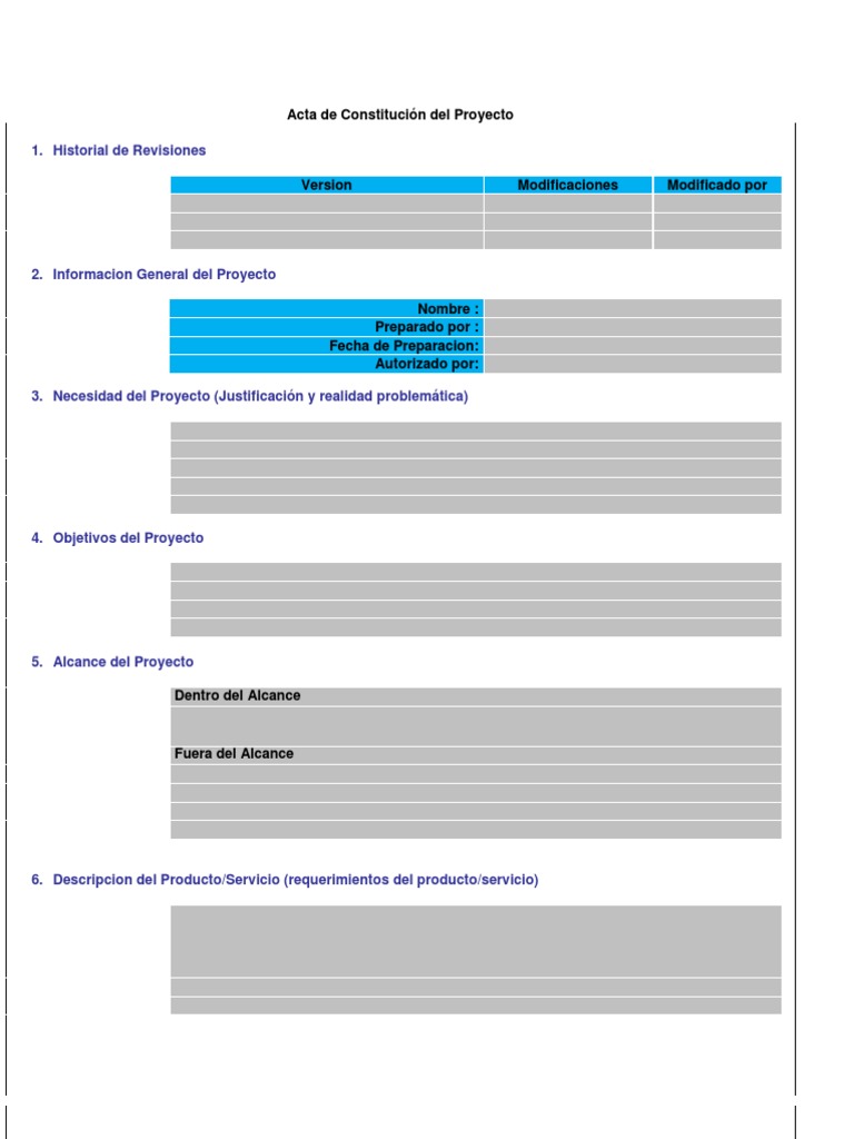 Plantilla de Acta de Constitución del Proyecto | PDF | Negocios ...
