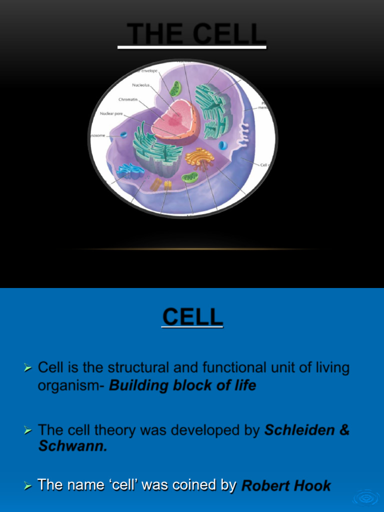 Understanding Cell Structure and Types | PDF | Endoplasmic Reticulum ...