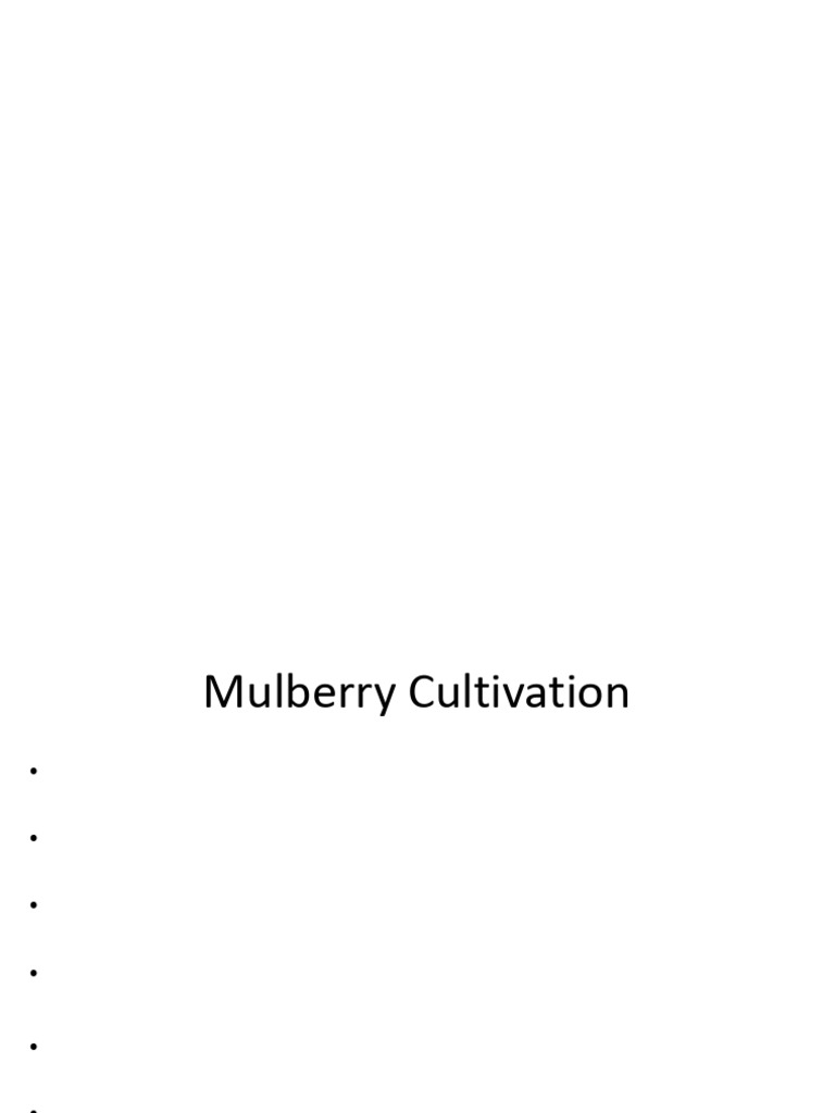 Mulberry Cultivation and Silkworm Rearing | PDF | Pupa | Pruning