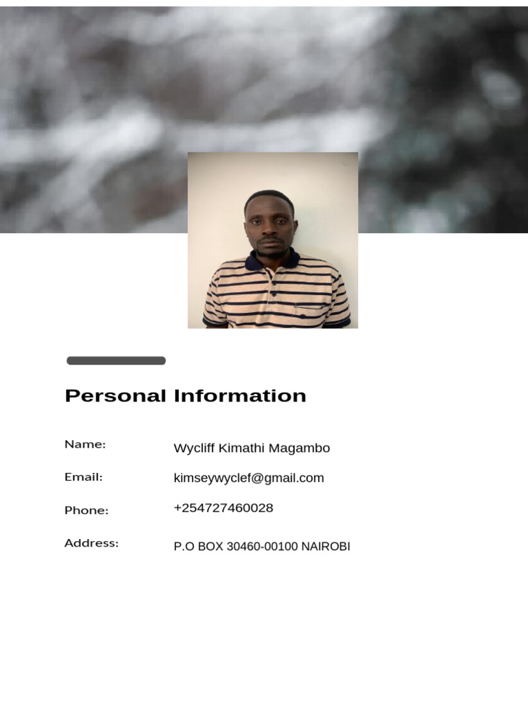 Personal Profile PDF | PDF