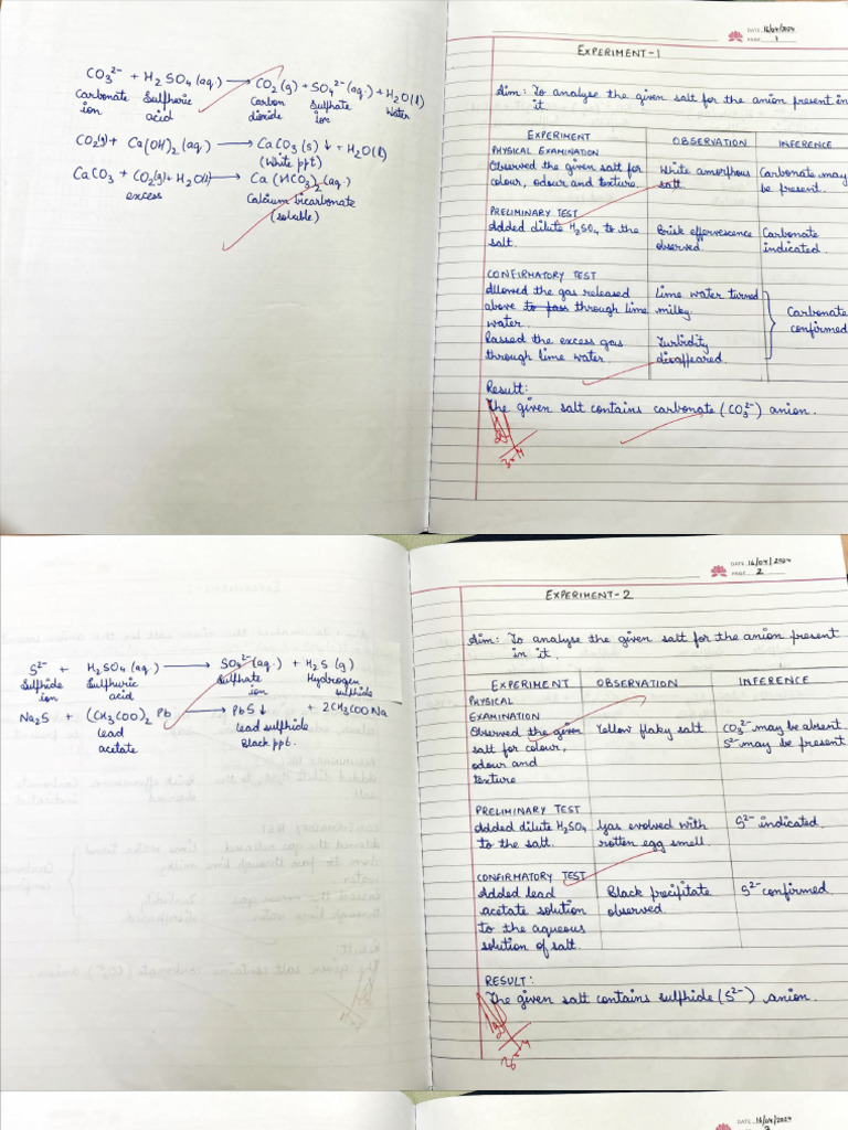 Chem File 14 Experiments | PDF