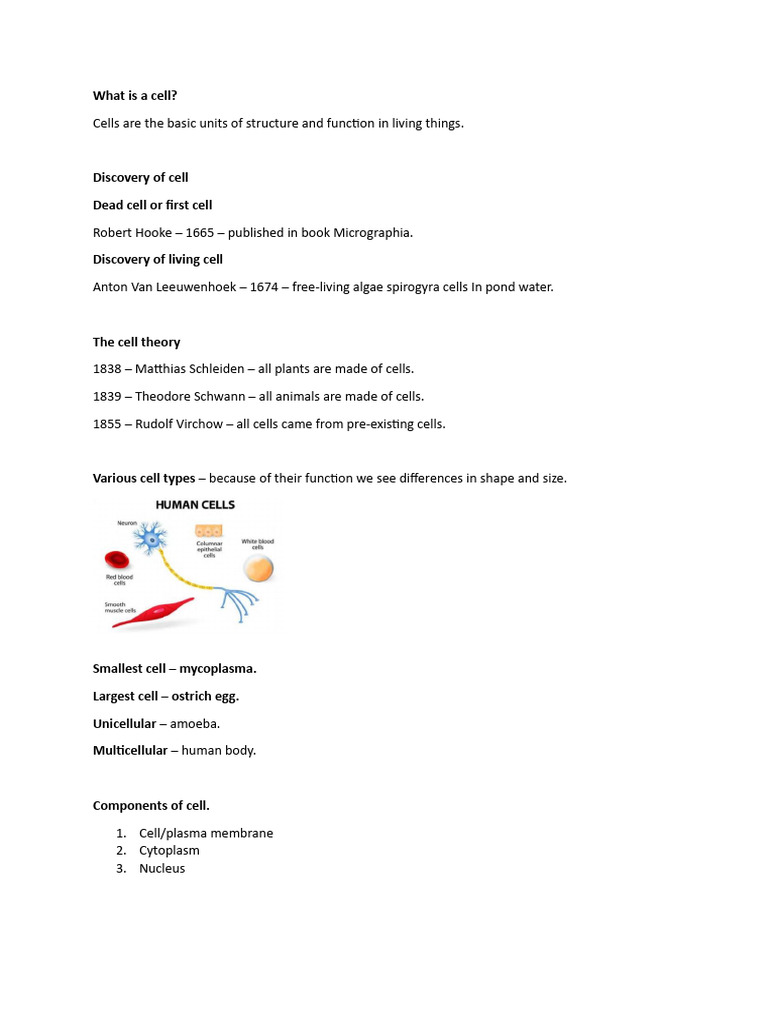 Understanding Cell Structure and Function | PDF