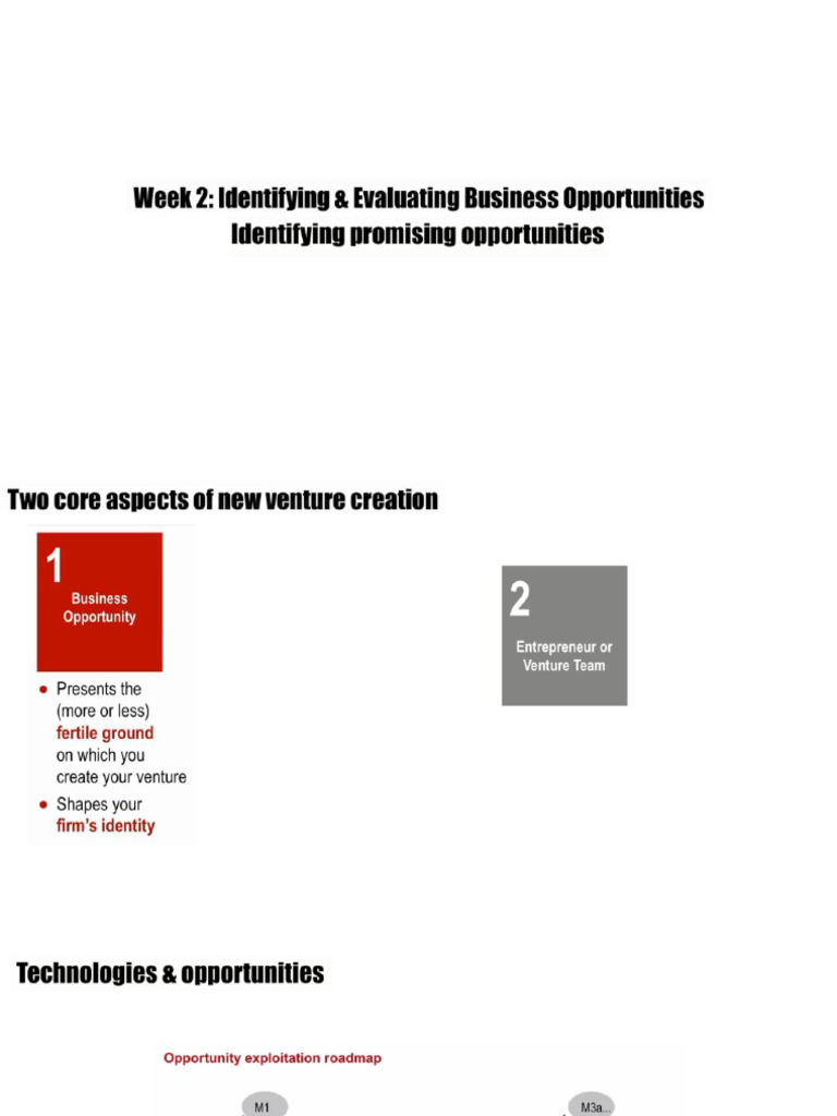 2identifying and Evaluating Business Opportunities | PDF