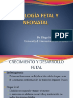 Fisiología Neonatal