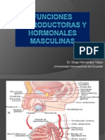 Funciones Reproductoras y Hormonales Masculinas