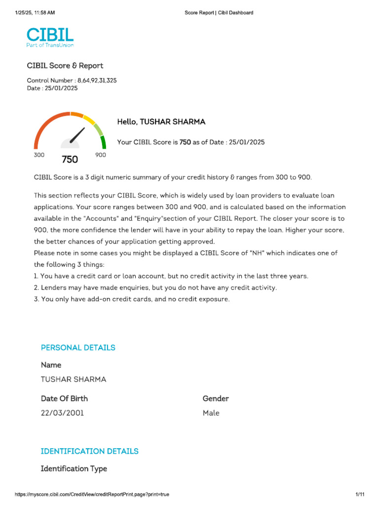 Tushar Transunion CIBIL | PDF