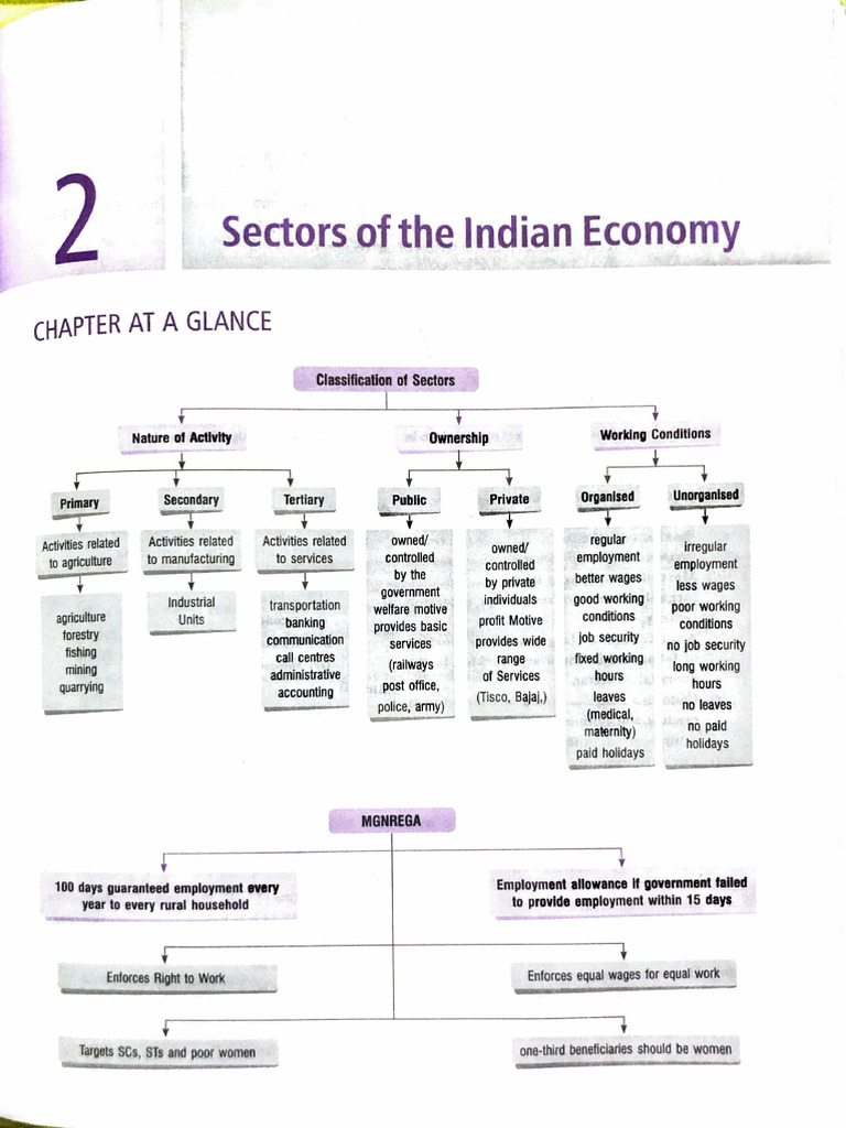 Sectors of the Indian Economy Explained | PDF | Employment | Unemployment