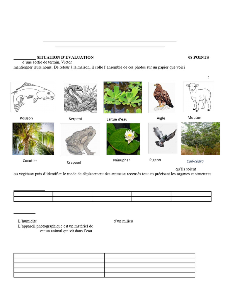 devoir-svt-6-me-valuation-2025-2026-pdf-serpent-zoologie