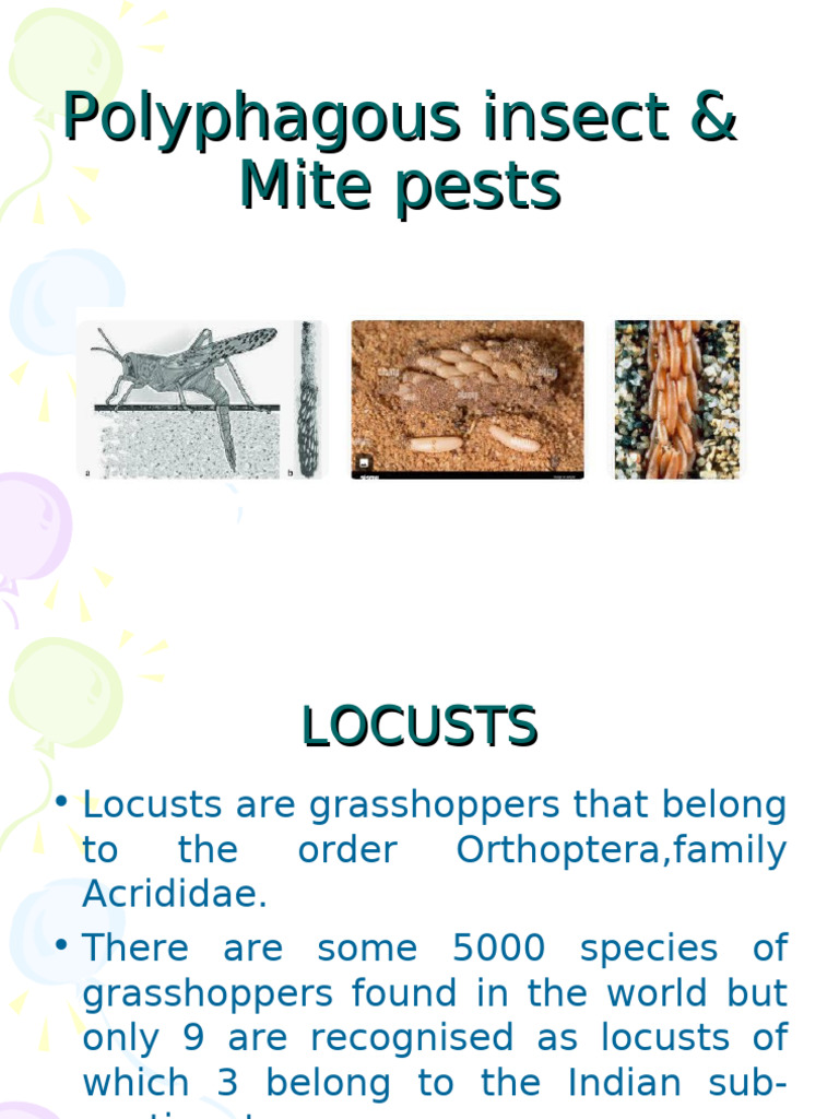 1.polyphagous Insect & Mite Pests 2024 | PDF | Pupa | Eusociality
