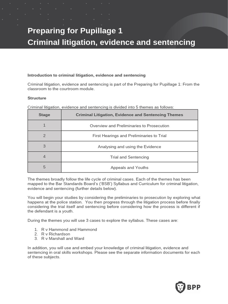 Criminal Litigation & Evidence Overview | PDF | Burden Of Proof (Law ...