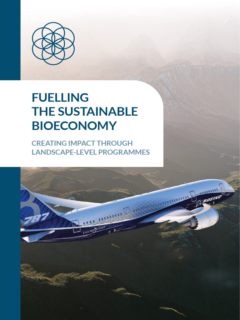 Sustainable Bioeconomy for Aviation | PDF | Sustainability | Biofuel