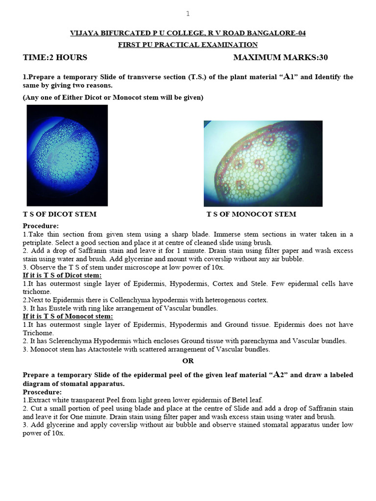First PU Practical Exam: Plant Biology | PDF | Cellular Respiration ...
