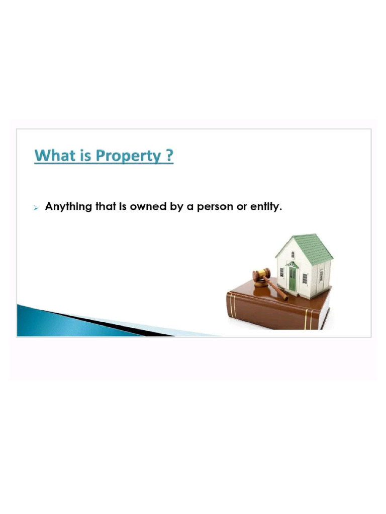 Intellectual Property Right | PDF