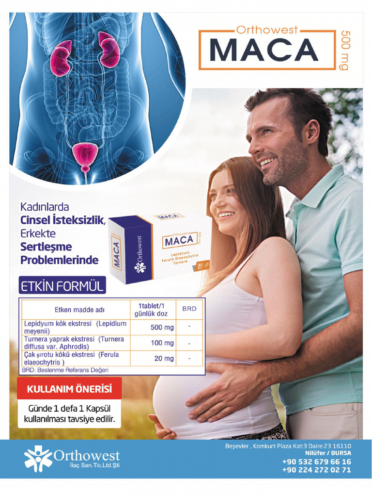 Maca | PDF