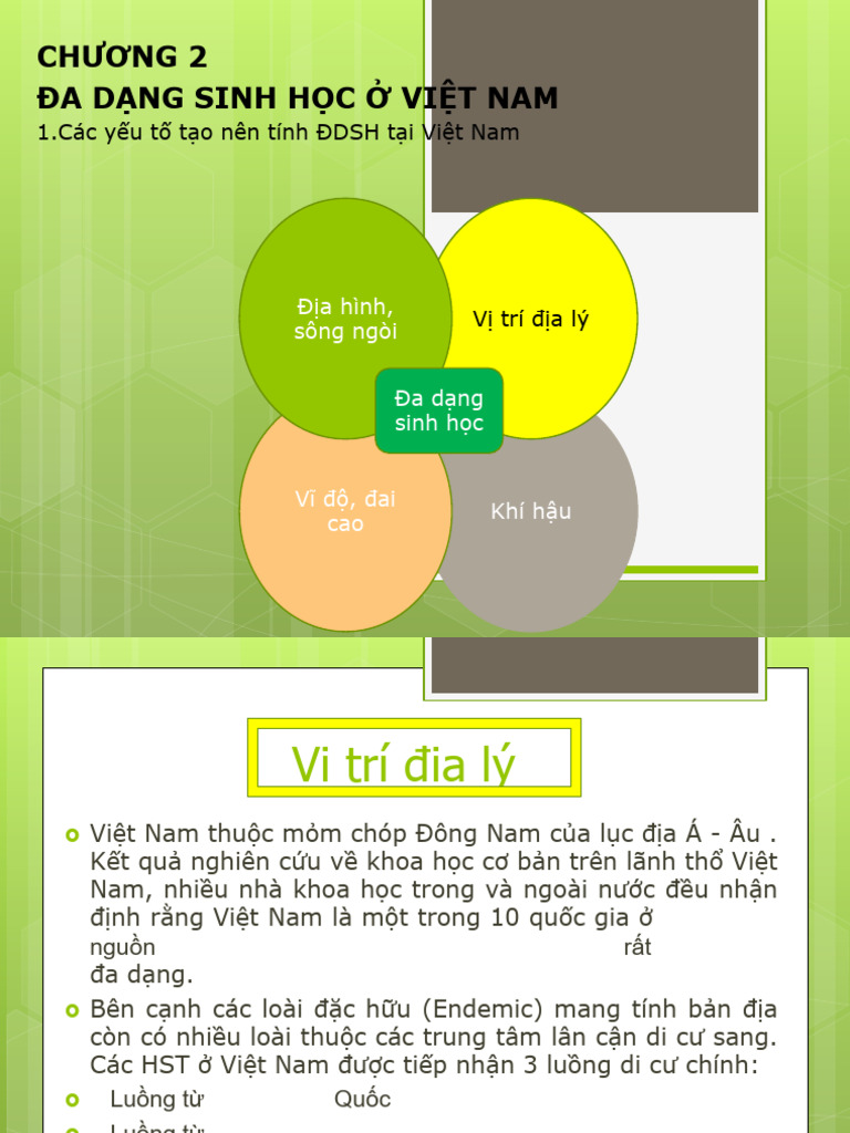 Chuong 2-Ddsh Viet Nam | PDF