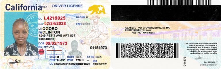 California Driver License NEW | PDF