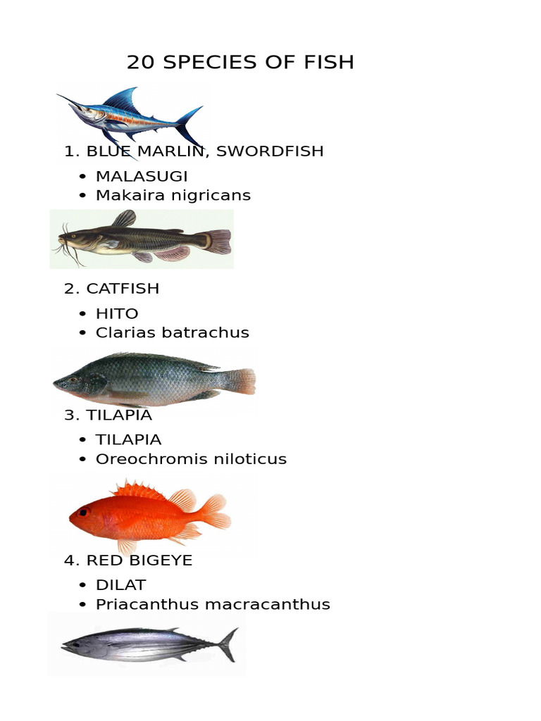 20 Fish Species and Their Names | PDF
