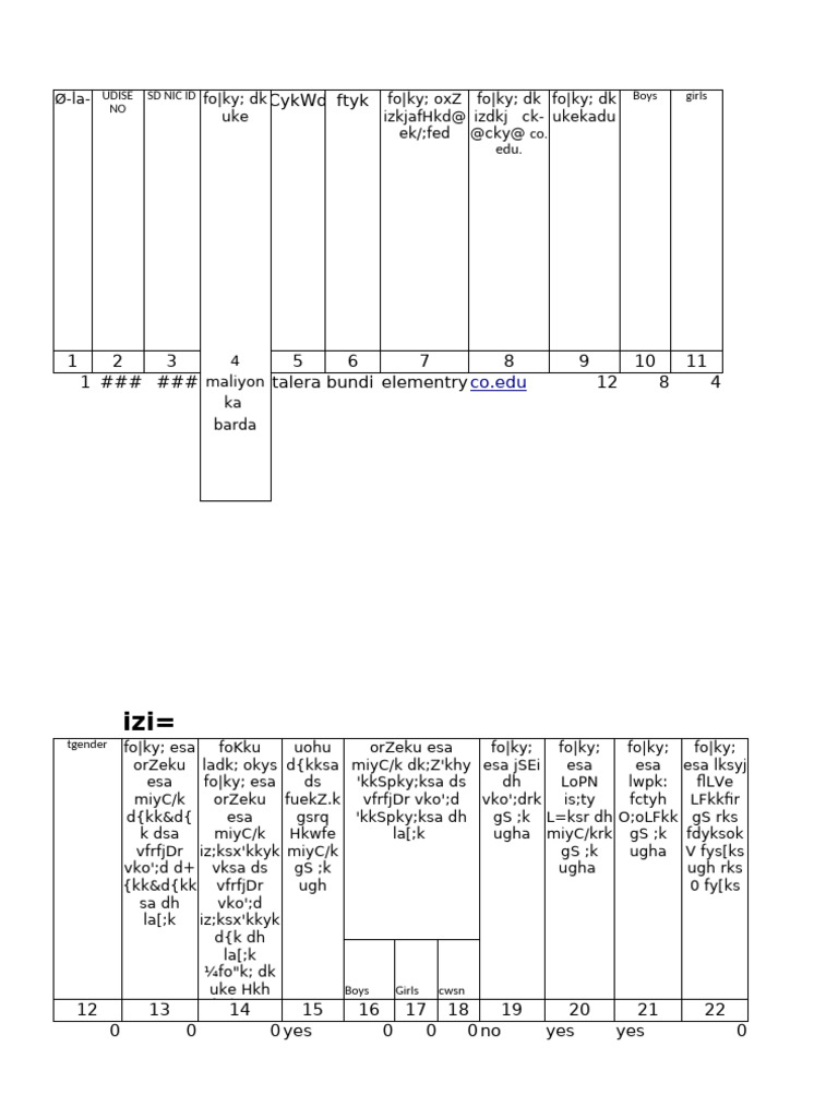 School Details Format | PDF