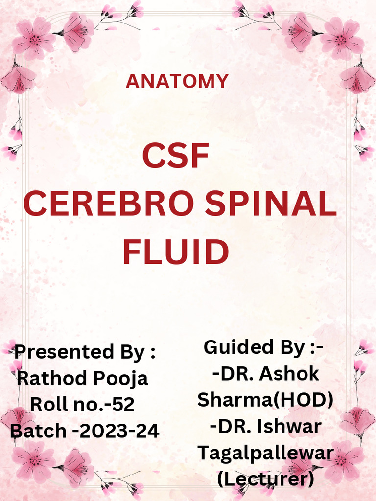 CSF Cerebro Spinal Fluid: Anatomy | PDF | Cerebrospinal Fluid | Nervous ...