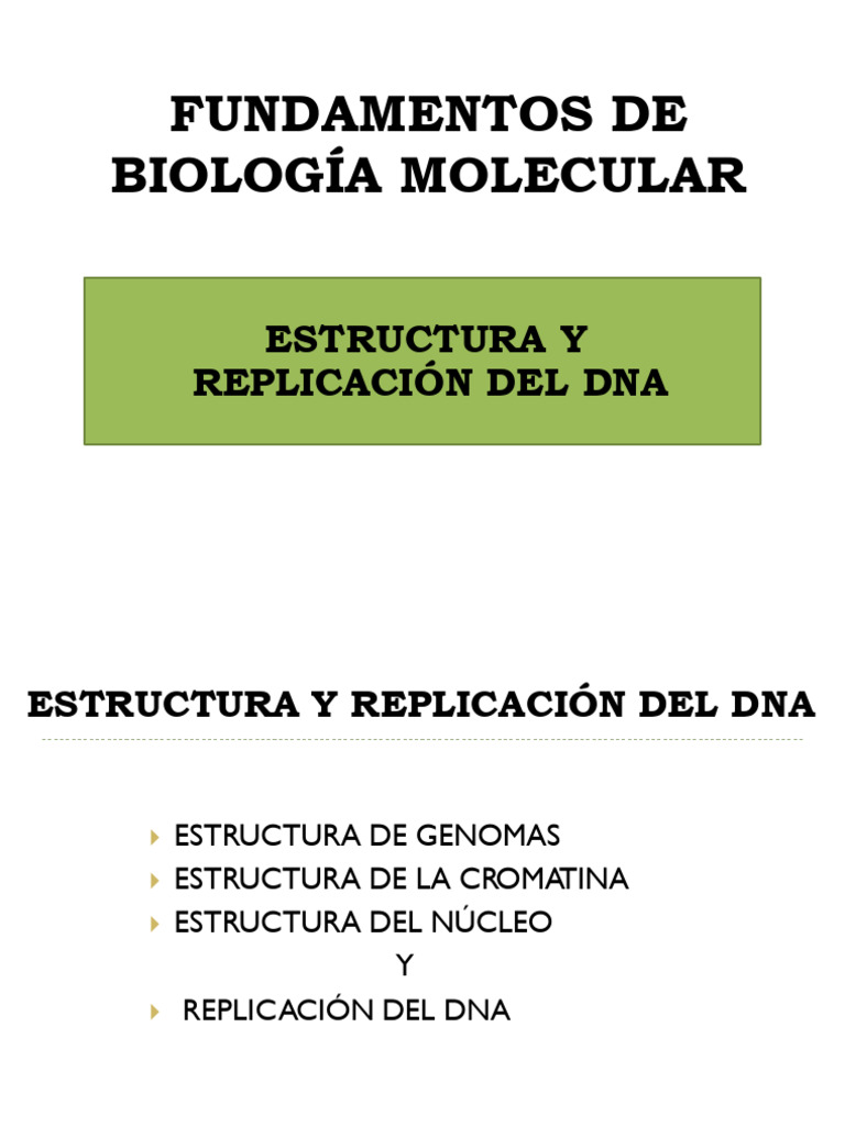 Estructura y Replicación del DNA | PDF | Replicación De Adn | Adn