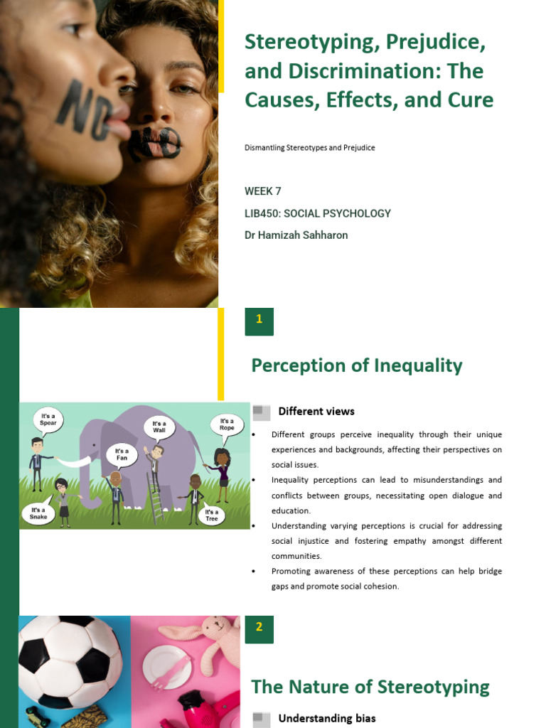 Understanding Stereotypes and Prejudice | PDF | Stereotypes | Prejudices