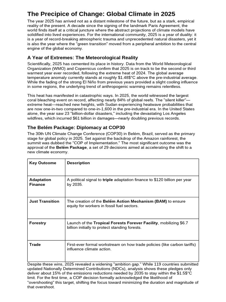The Precipice of Change_ Global Climate in 2025 | PDF | Climate Change ...