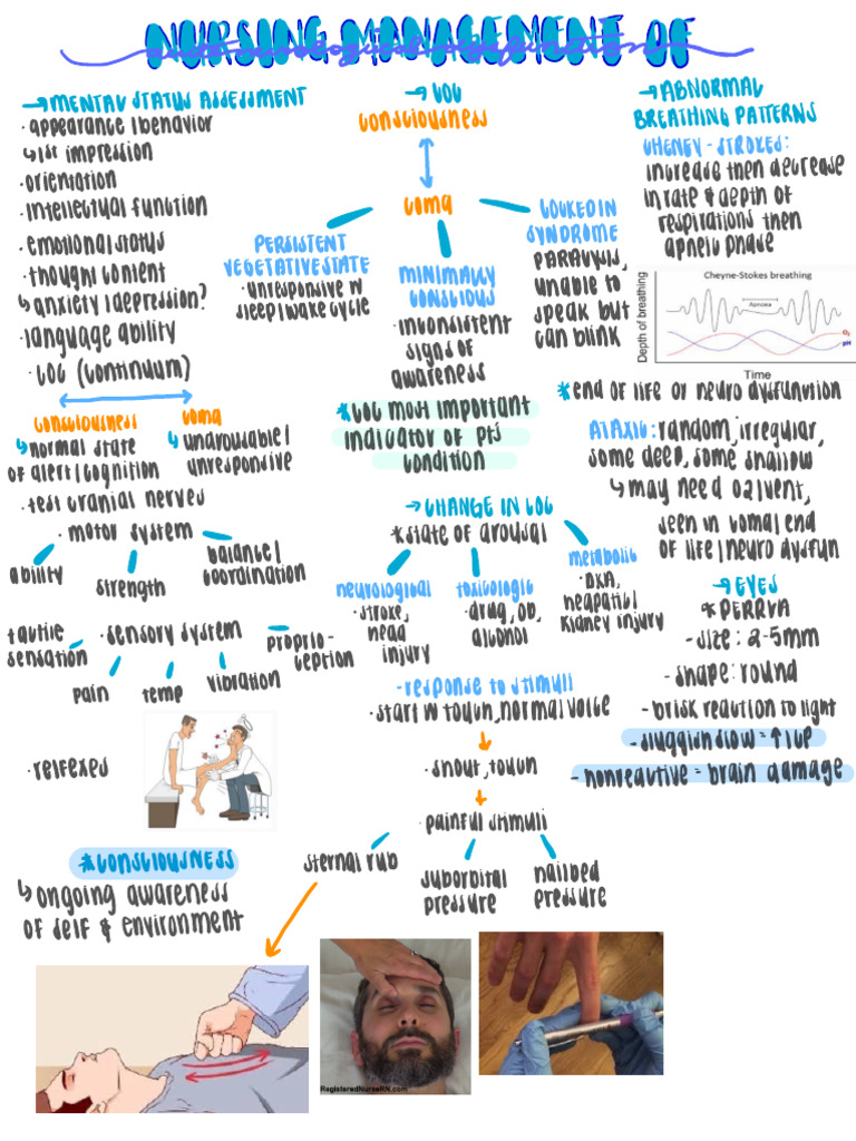 Neurological Assessment and Management | PDF | Medical Specialties ...