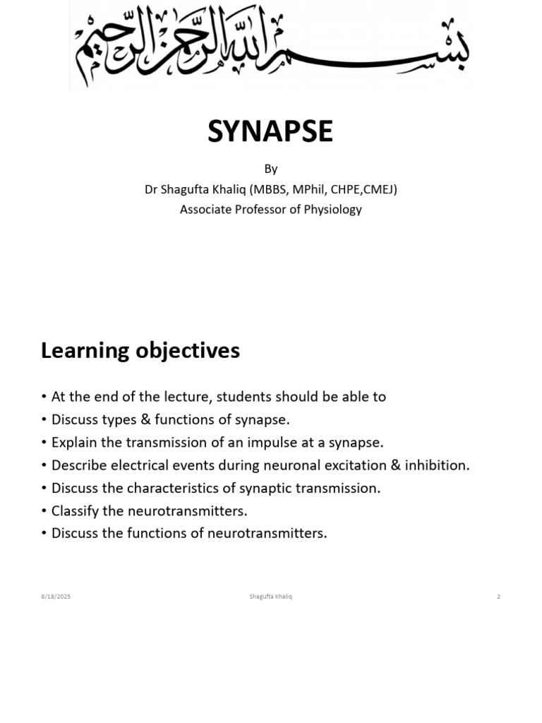 Understanding Synapses and Their Functions | PDF | Chemical Synapse ...