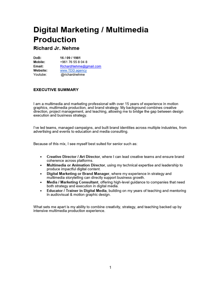 Multimedia Marketing Professional Profile | PDF | Multimedia | Digital ...