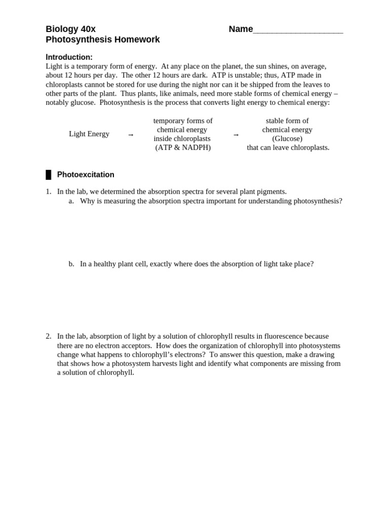 Photosynthesis Homework Guide | PDF | Photosynthesis | Chloroplast