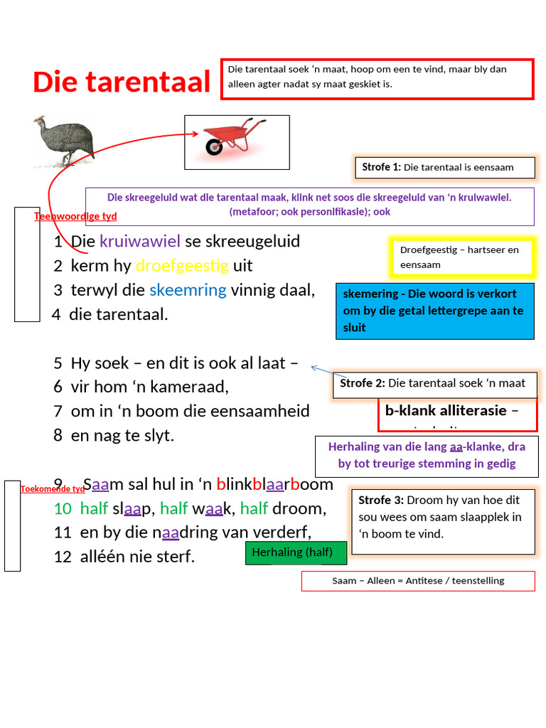 bespreking-die-tarentaal-pdf