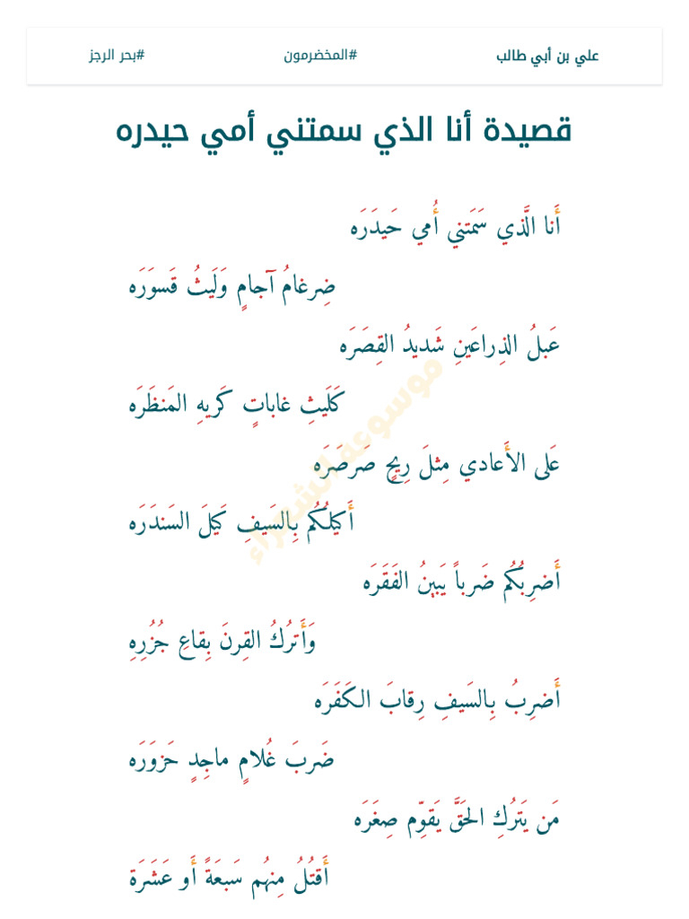 أنا الذي سمتني أمي حيدره | PDF