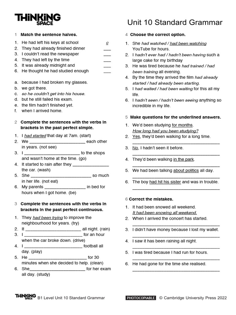 B1 Grammar: Past Perfect Exercises | PDF | Syntax | Grammar