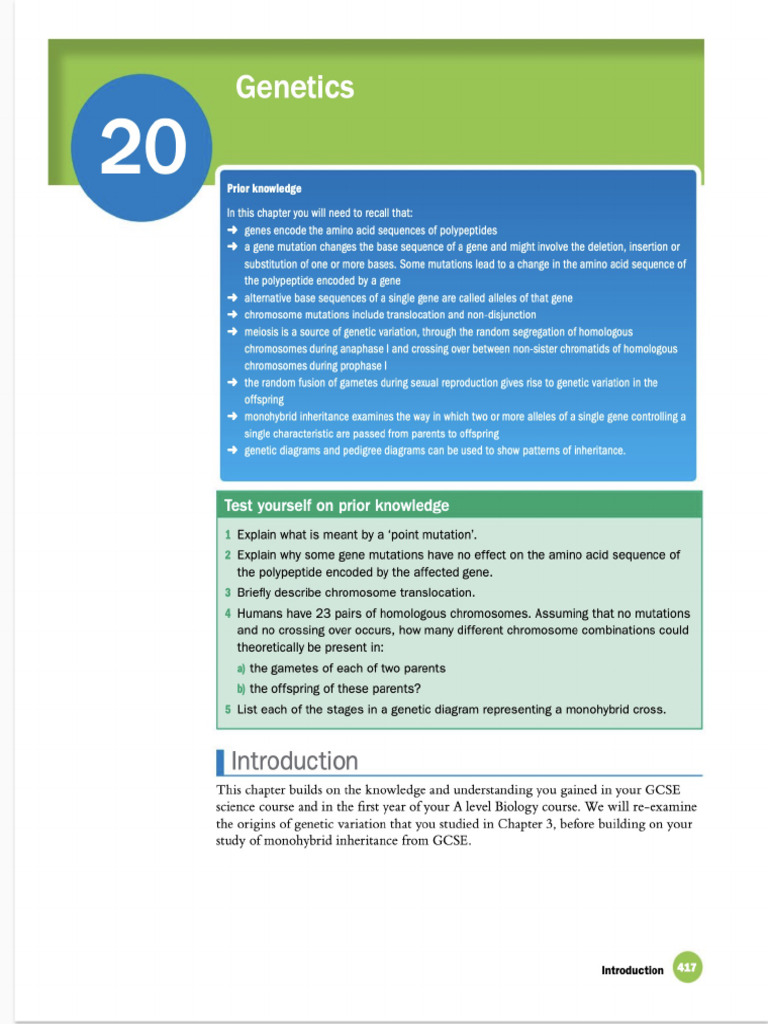 T8a Genetics | PDF