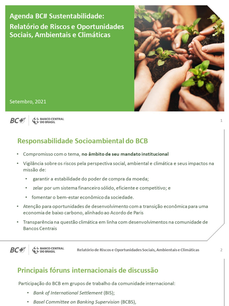 Relatório de Riscos e Oportunidades Banco Central do Brasil 2021 | PDF ...